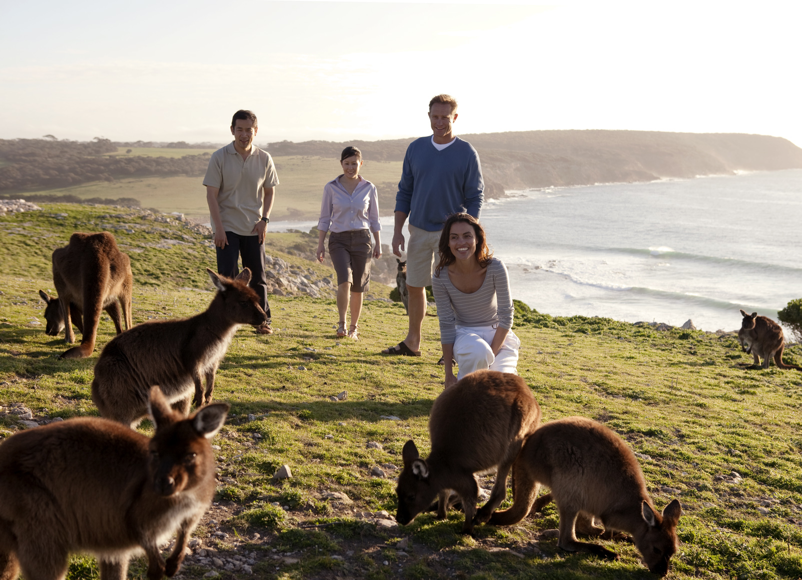 KANGAROO ISLAND
